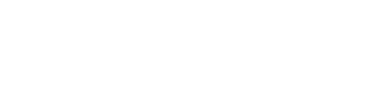 Longen Group - Logo 800 White